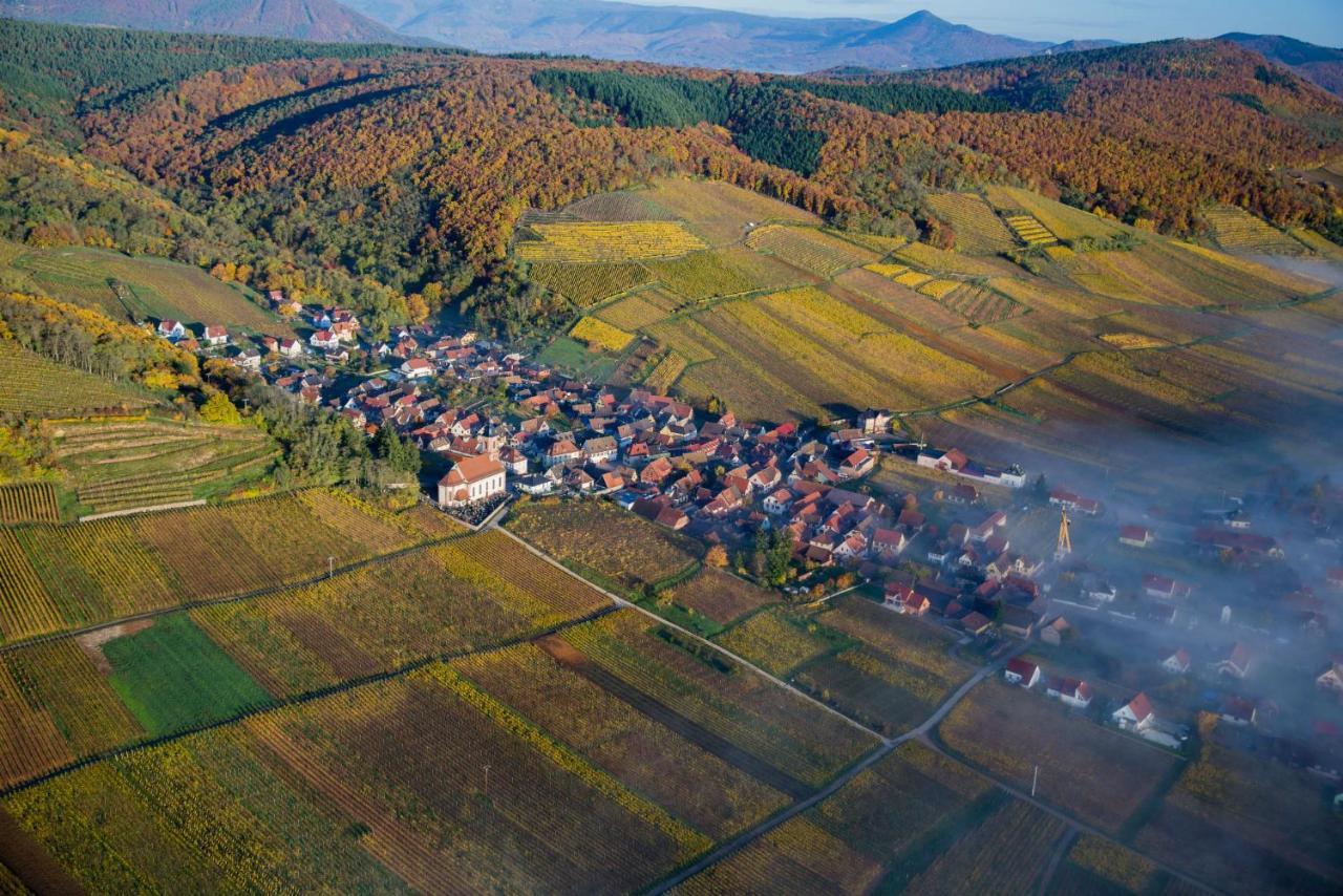 Maison De Ville Selestat Centre Εξωτερικό φωτογραφία
